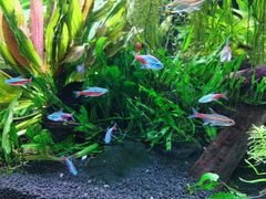 -上海海洋水族馆