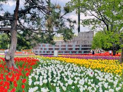 -长春公园(普阳街道)