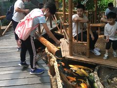 -上海大自然野生昆虫馆(东方明珠·爬宠昆虫探索中心)