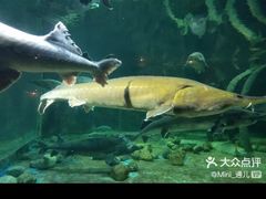 -华夏文旅海洋公园