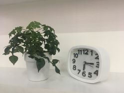 -KS科逆美肤祛痘