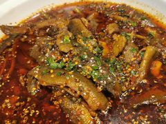 情妹耙泥鳅-情妹耙泥鳅·江湖川菜(科华店)