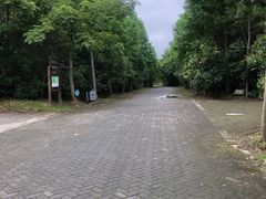 -上海海湾国家森林公园