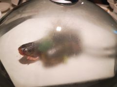 -优食坊·蒸汽海鲜(康盛路店)