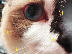 -seeu coffee(江滩店)