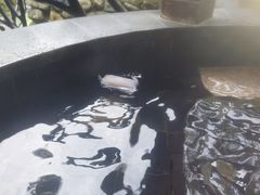 -宜春明月山维景国际温泉度假酒店