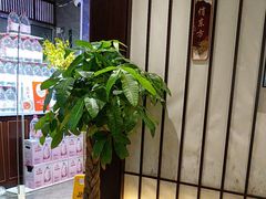 -俏东方·海味水饺·青岛菜(崂山店)