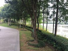 -南翔镇银翔湖公园