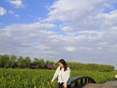 -永定河休闲森林公园