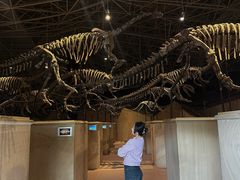 -世界恐龙谷景区