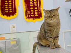 -纳吉亚猫专科动物医院博雅分院
