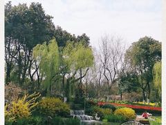 -圩墩遗址公园