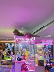 -Fang Fang Monkey·方方猴(国瑞购物中心店)