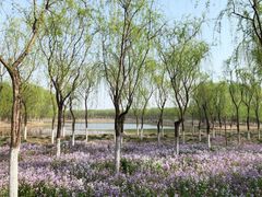 -东郊湿地公园