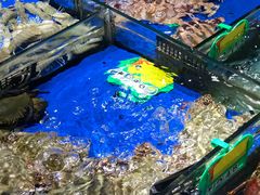 -大东海海鲜酒楼(渔人码头总店)