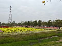 -盈香心动乐园