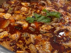 -川渔居—鱼火锅(八方汇店)