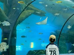 -福州罗源湾海洋世界旅游区