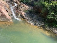 -广州白江湖森林公园