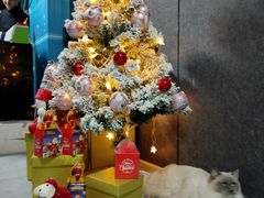 -零纪元VR体验馆·桌游(黄浦店)