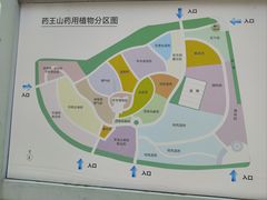-广东中医药博物馆