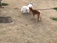 -栖露营camping·天幕烧烤·团建拓展·采摘营地