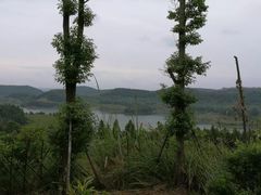 -仙海旅游度假区