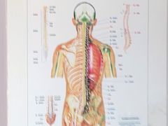 -张钰强中医正骨推拿连锁(华发商都店)