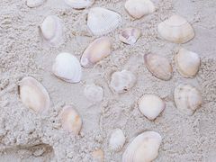 -西涌国际滨海旅游区