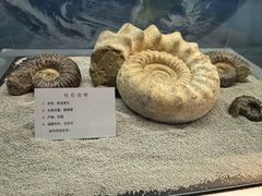 -大同煤炭博物馆