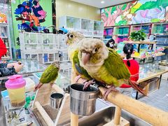 -深圳华盛奥特莱斯(华南一道店)