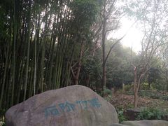 -苏州河梦清园环保主题公园