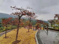 -李宁体育园