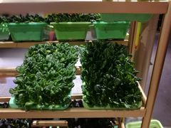 -锦上中式酒馆(南内环店)