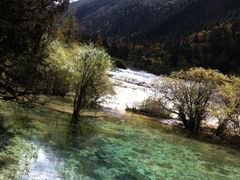 -九寨沟-树正沟