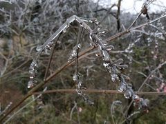 -湖南嵩云山国家森林公园