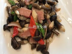 -披云山庄