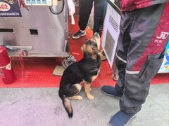 -胡家包子·清真(大众巷店)