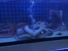 -阿伍海鲜大排档(塔湾金沙店)