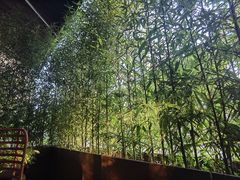 -物心空间