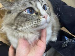 -白兔子密室(长寿路店)