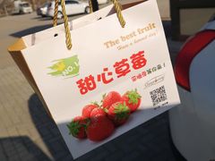 -甜心庄园·甜心草莓采摘园(西青中北店)