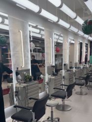 -Z.X HAIR SALON张新美业