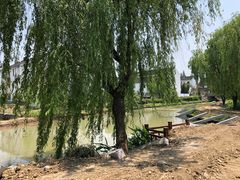 后院-锦江中华村农家乐饭庄