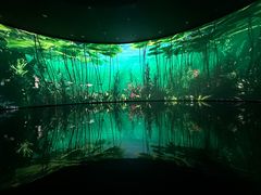 -中国湿地博物馆