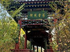 -迎泽公园