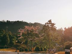 -东莞植物园