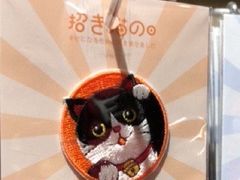 -猫咪博物馆(顶澳仔猫街店)