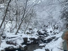 -浙西天池景区
