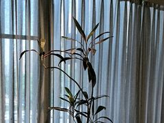 -湘满甲·黄焖甲鱼创始者·湘菜·鲁菜(潘家园店)